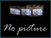 No Picture